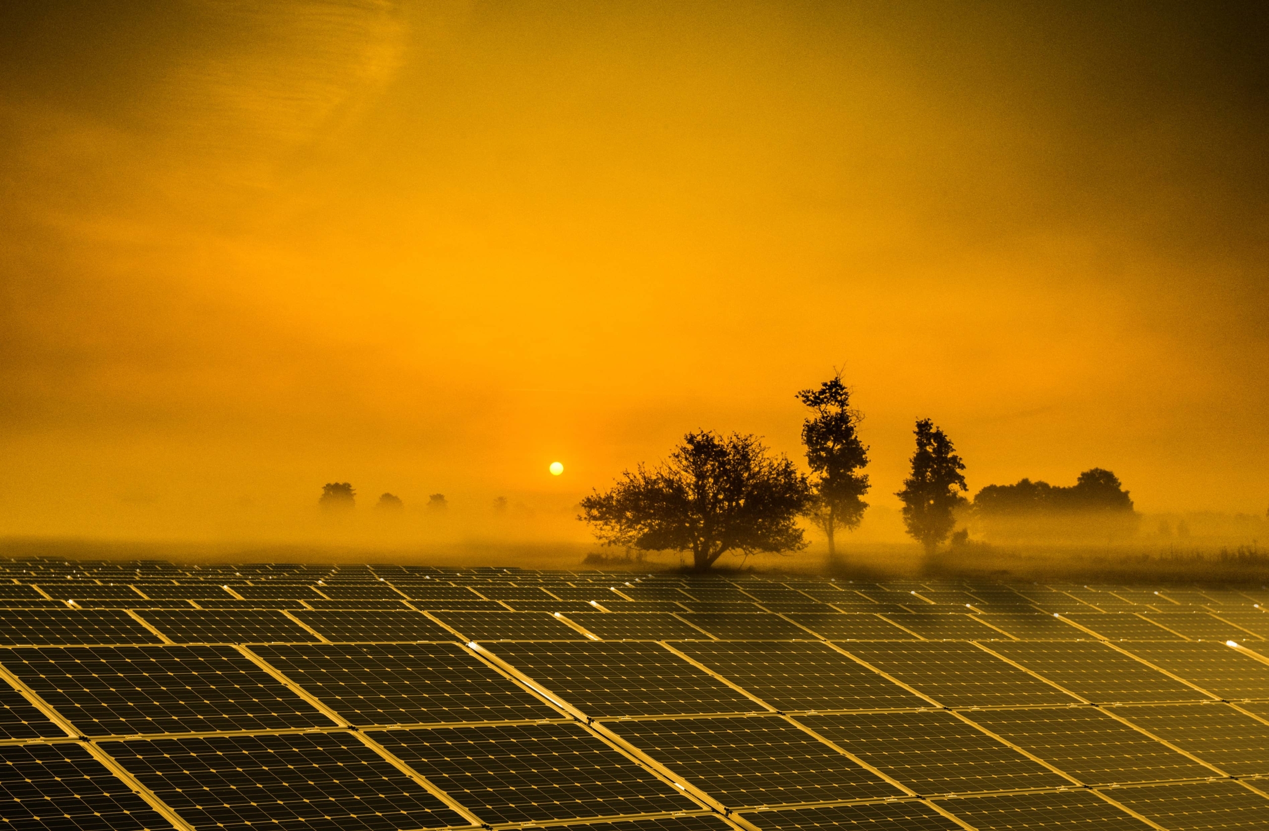 Professionnels des énergies renouvelables